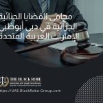 محامي القضايا الجنائية الجزائية في دبي أبوظبي الإمارات العربية المتحدة